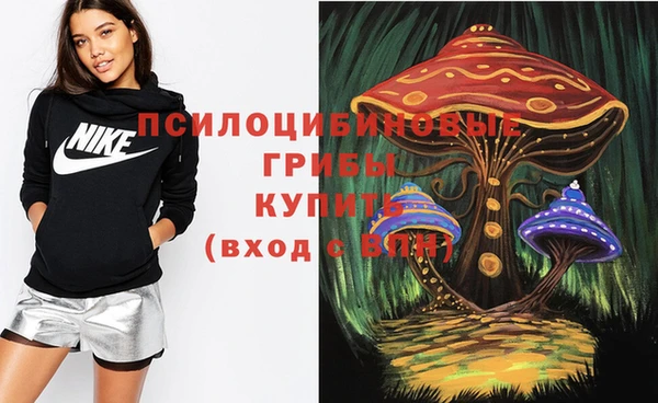 гидра Алексеевка