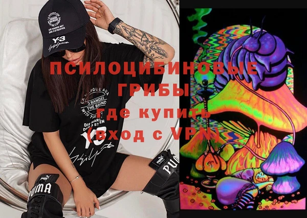 гидра Алексеевка