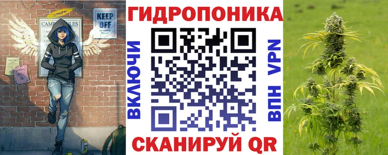 Конопля план  гидра ССЫЛКА  Сельцо 